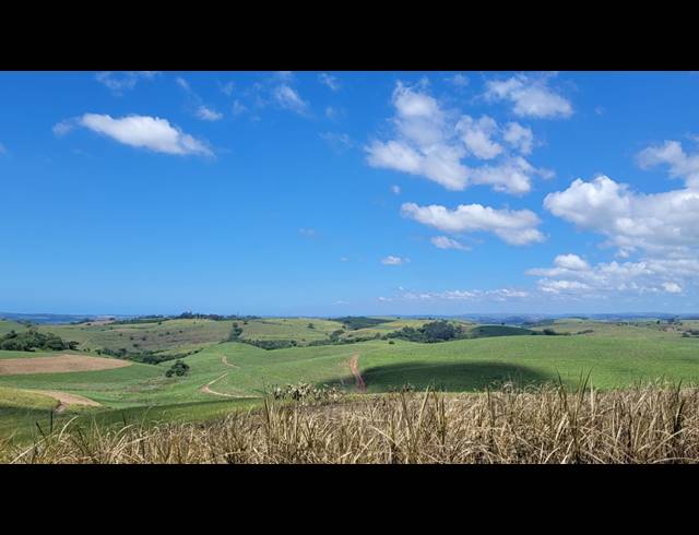 134HA FARM FOR SALE IN BALLITO RURAL